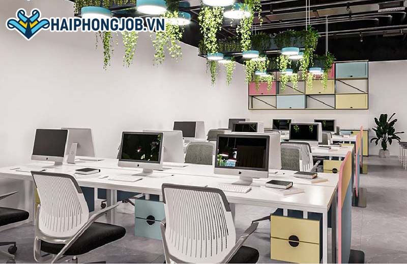 Môi trường làm việc lý tưởng luôn bình đẳng và tôn trọng lẫn nhau