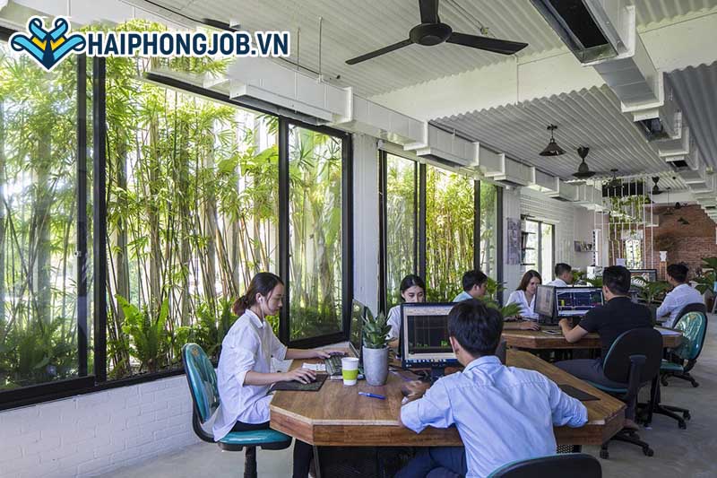 Môi trường làm việc lý tưởng là gì?
