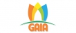 Công ty Cổ phần phát triển giáo dục Quốc tế GAIA – Hải Phòng
